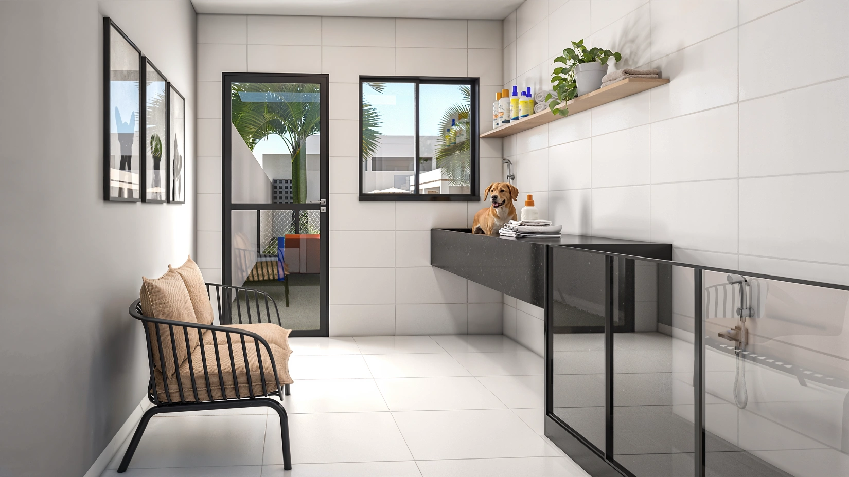 Petwashing